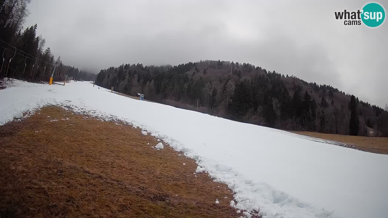 Ski Kranjska Gora | Brsnina