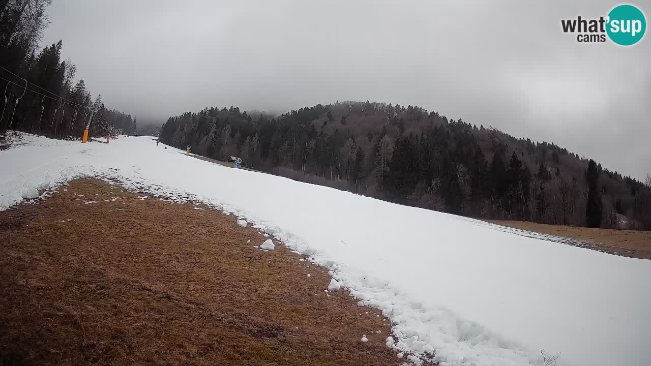 Esquí Kranjska Gora | Brsnina