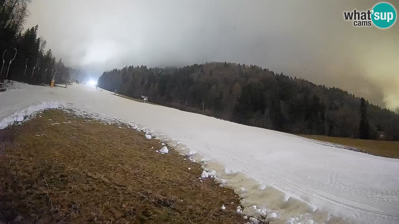 Esquí Kranjska Gora | Brsnina