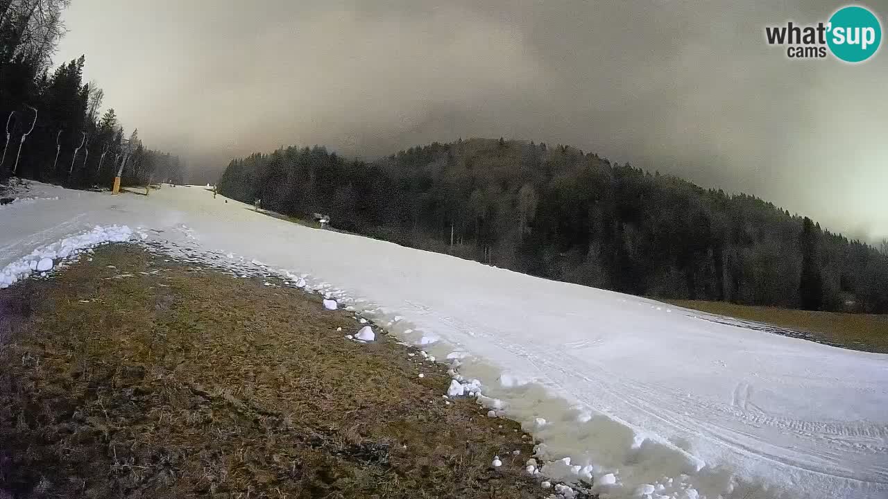 Esquí Kranjska Gora | Brsnina