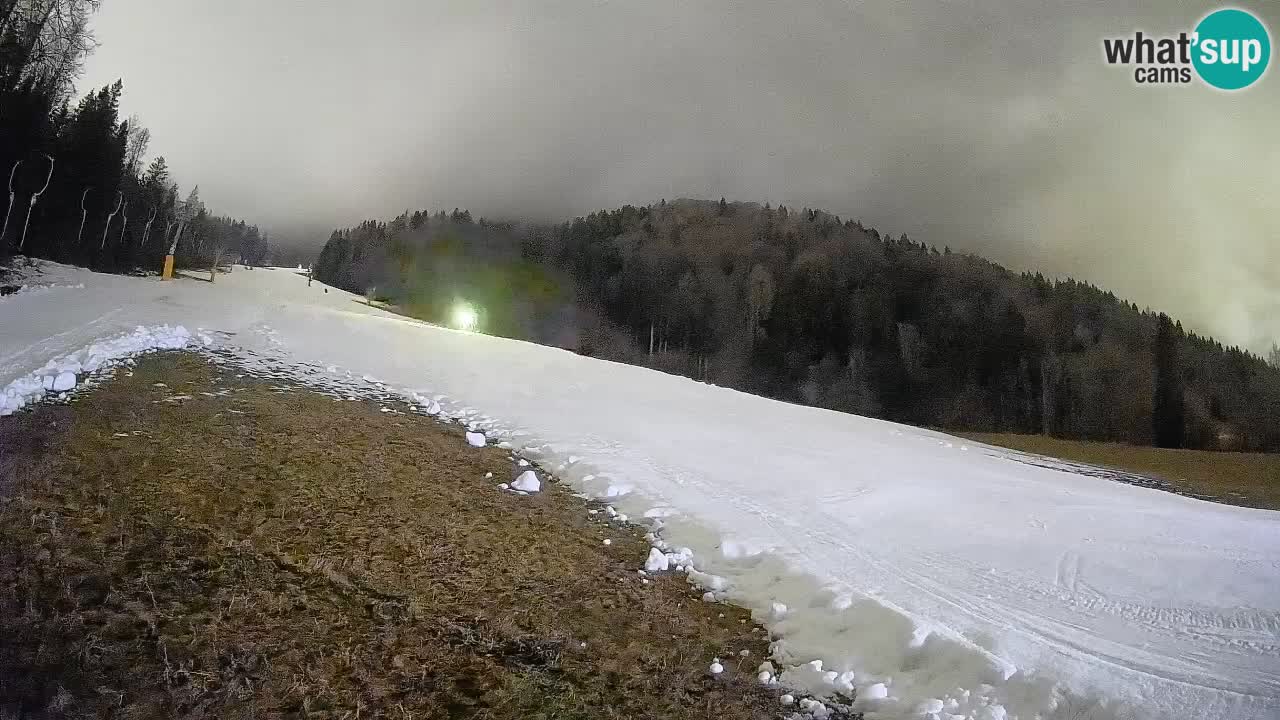 Esquí Kranjska Gora | Brsnina