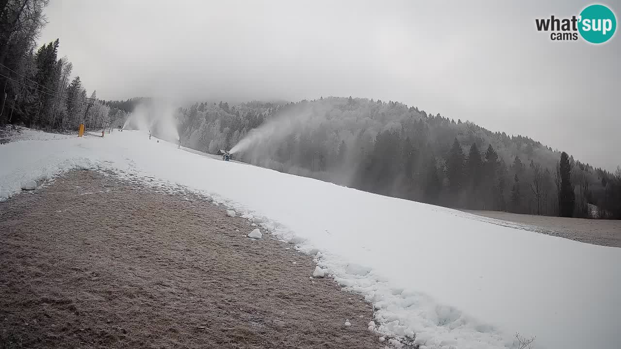 RTC Skigebiet Kranjska Gora | Brsnina