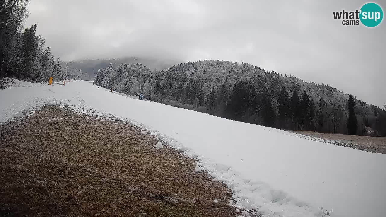 RTC Skigebiet Kranjska Gora | Brsnina
