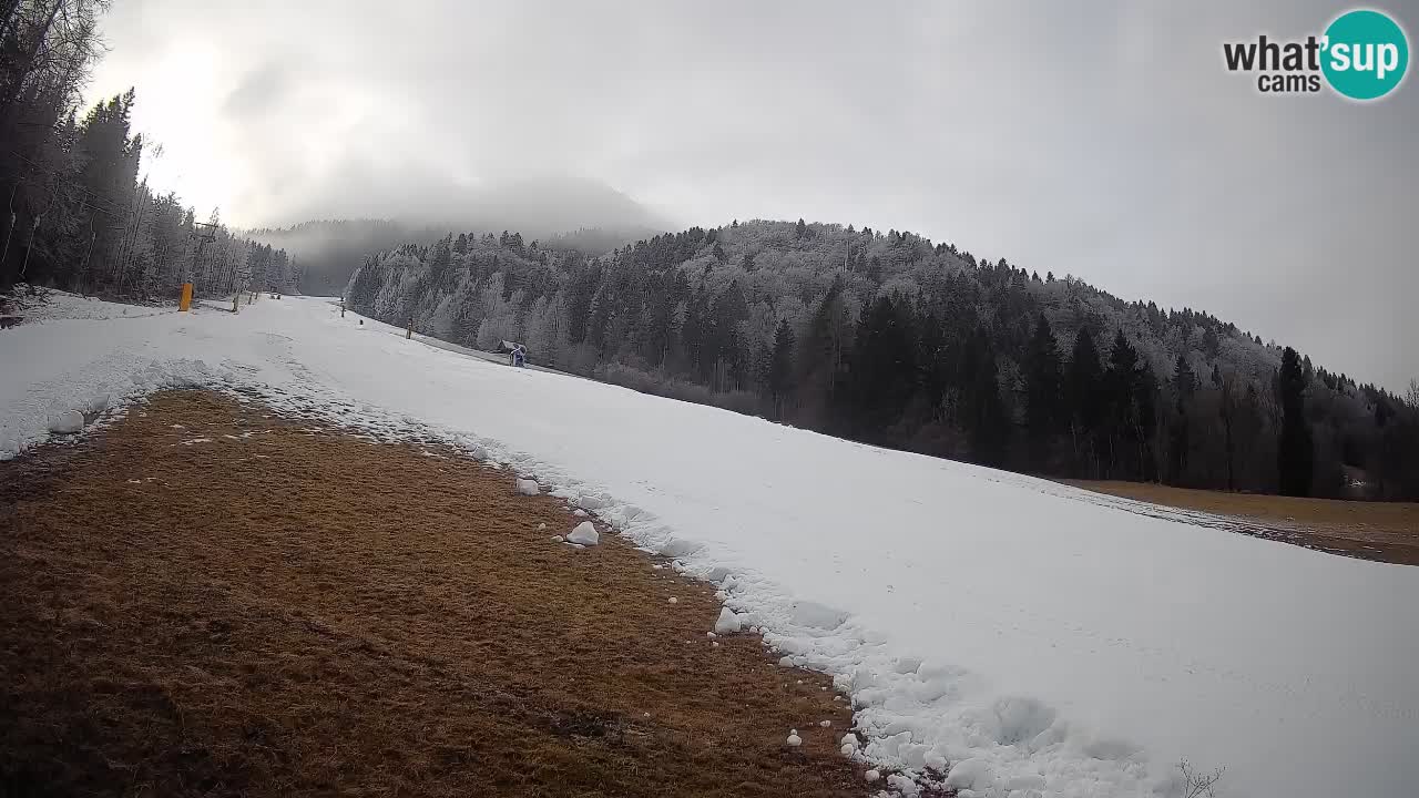 Kranjska Gora SKIJANJE | Brsnina