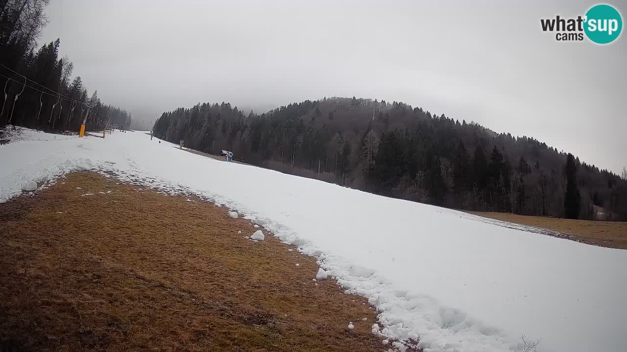 Kranjska Gora SKIJANJE | Brsnina