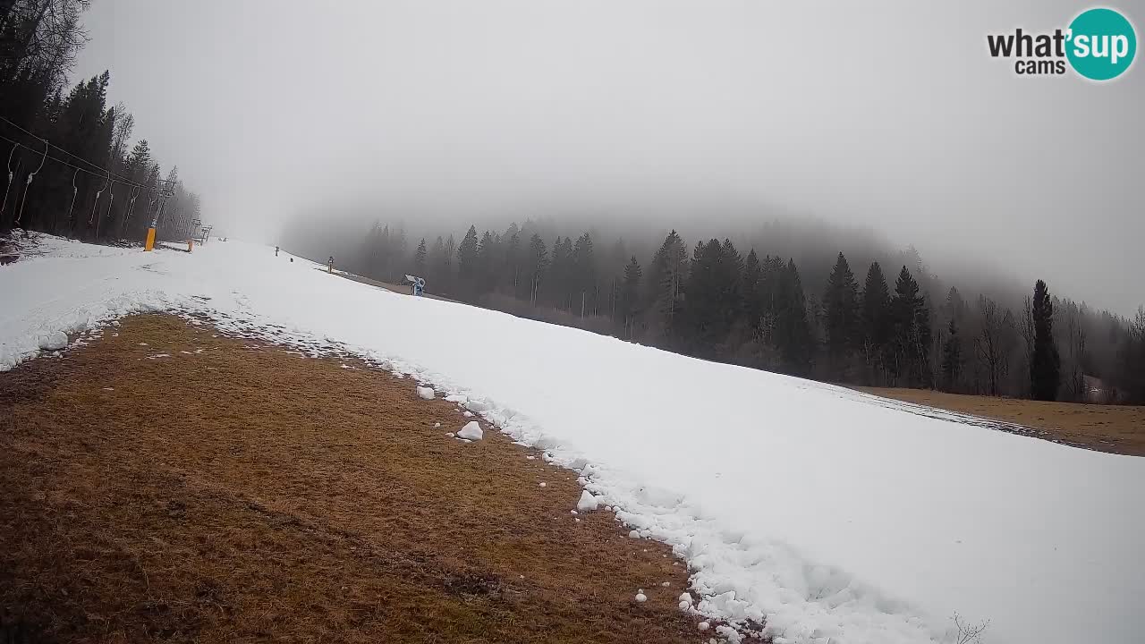 Ski Kranjska Gora | Brsnina