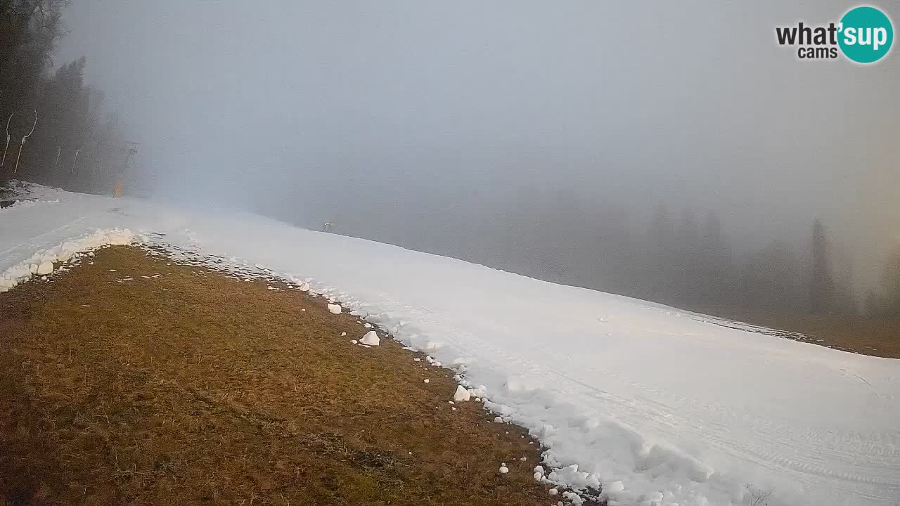 Kranjska Gora Station de ski | Brsnina