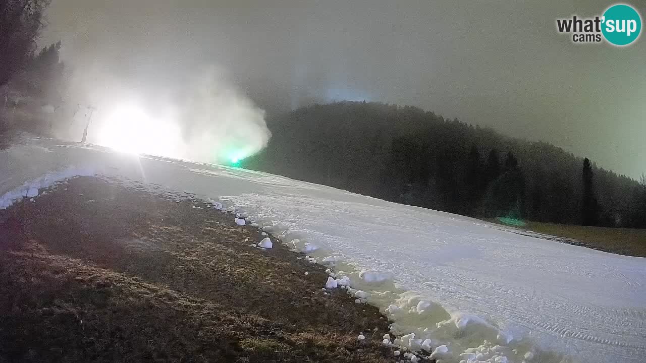 RTC Kranjska Gora | Brsnina