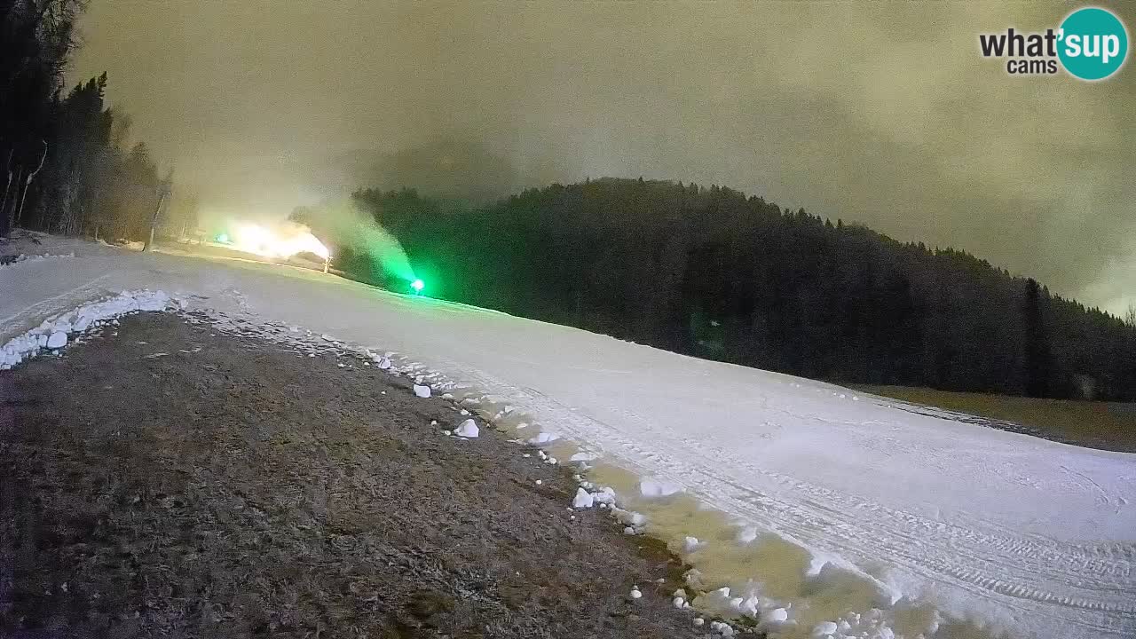 Ski Kranjska Gora | Brsnina