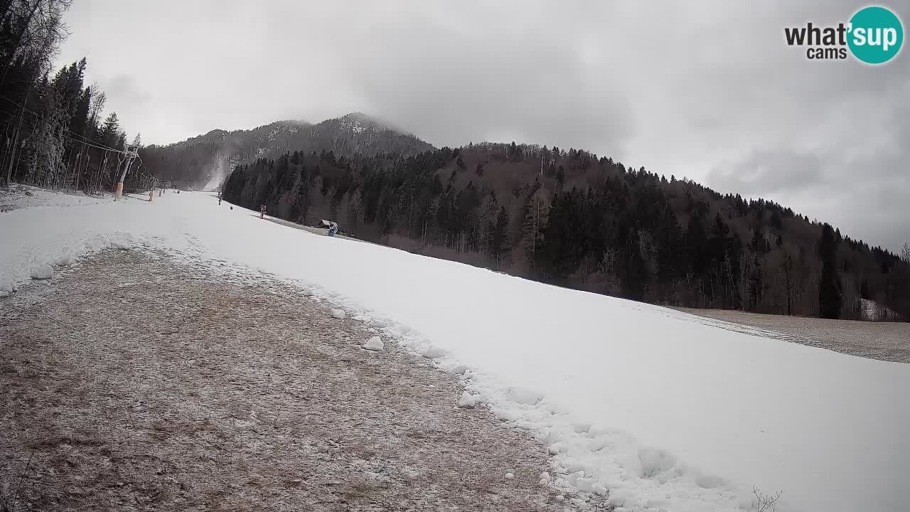 Comprensorio sciistico Kranjska Gora | Brsnina