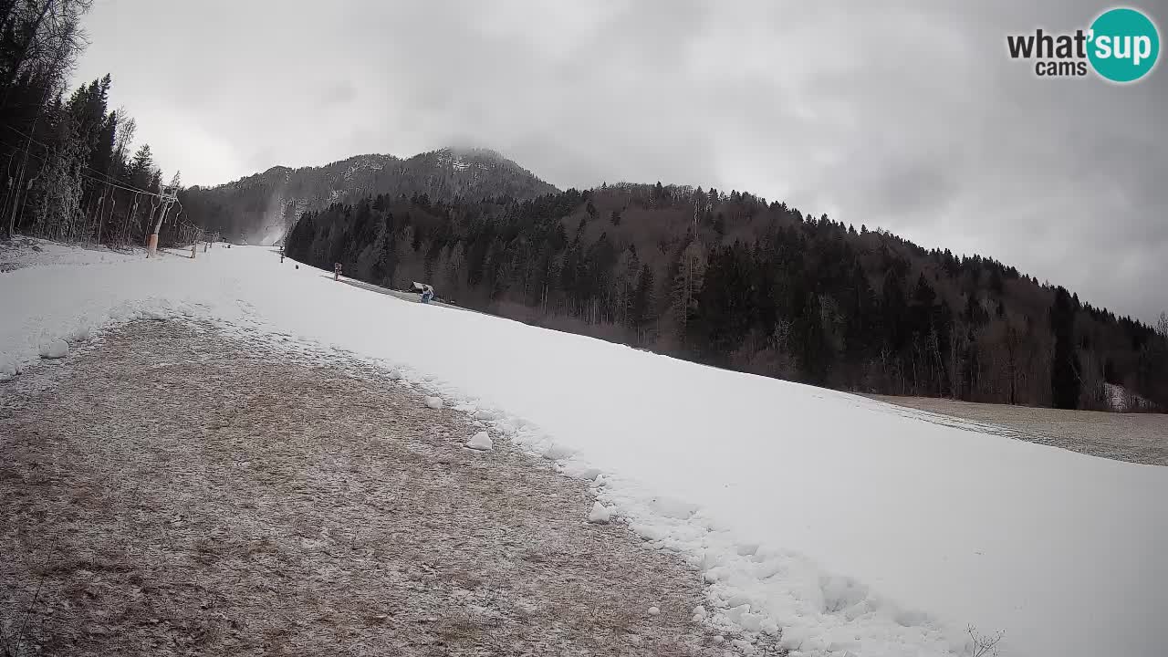 Kranjska Gora Station de ski | Brsnina