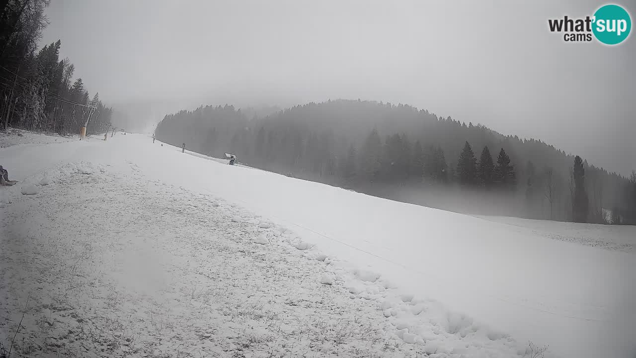 Comprensorio sciistico Kranjska Gora | Brsnina