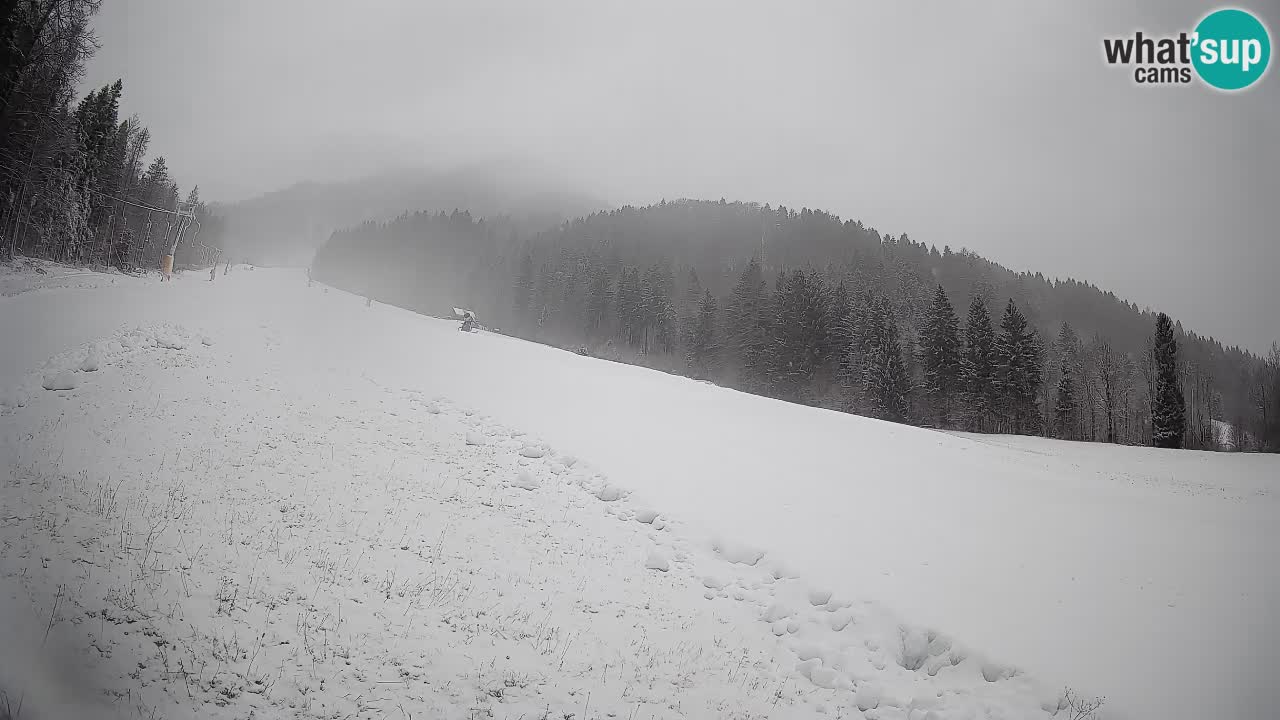 Ski Kranjska Gora | Brsnina
