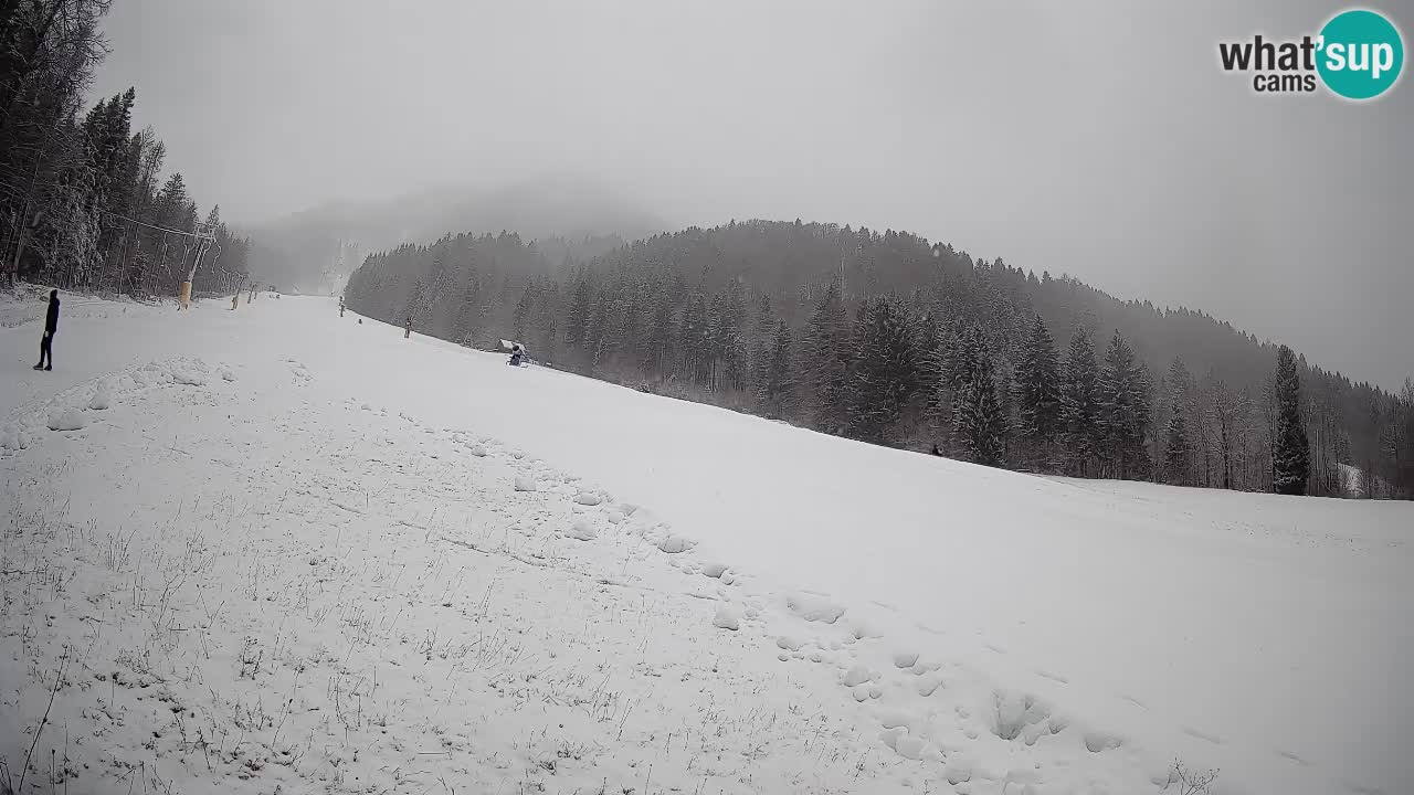RTC Skigebiet Kranjska Gora | Brsnina