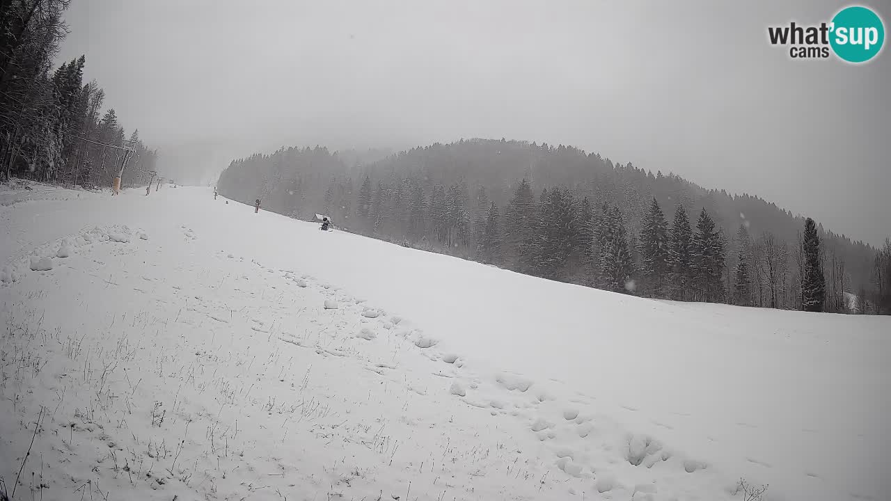 Ski Kranjska Gora | Brsnina