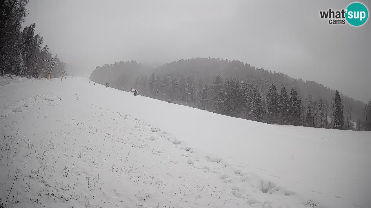 RTC Skigebiet Kranjska Gora | Brsnina