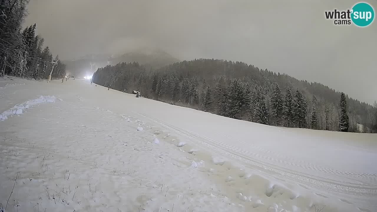 Comprensorio sciistico Kranjska Gora | Brsnina