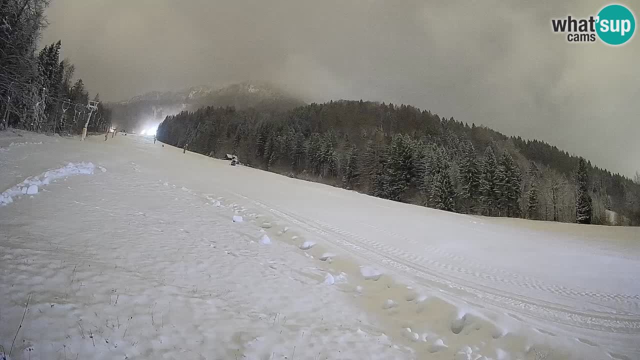 Comprensorio sciistico Kranjska Gora | Brsnina