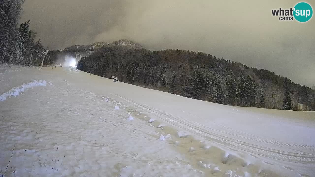 Comprensorio sciistico Kranjska Gora | Brsnina