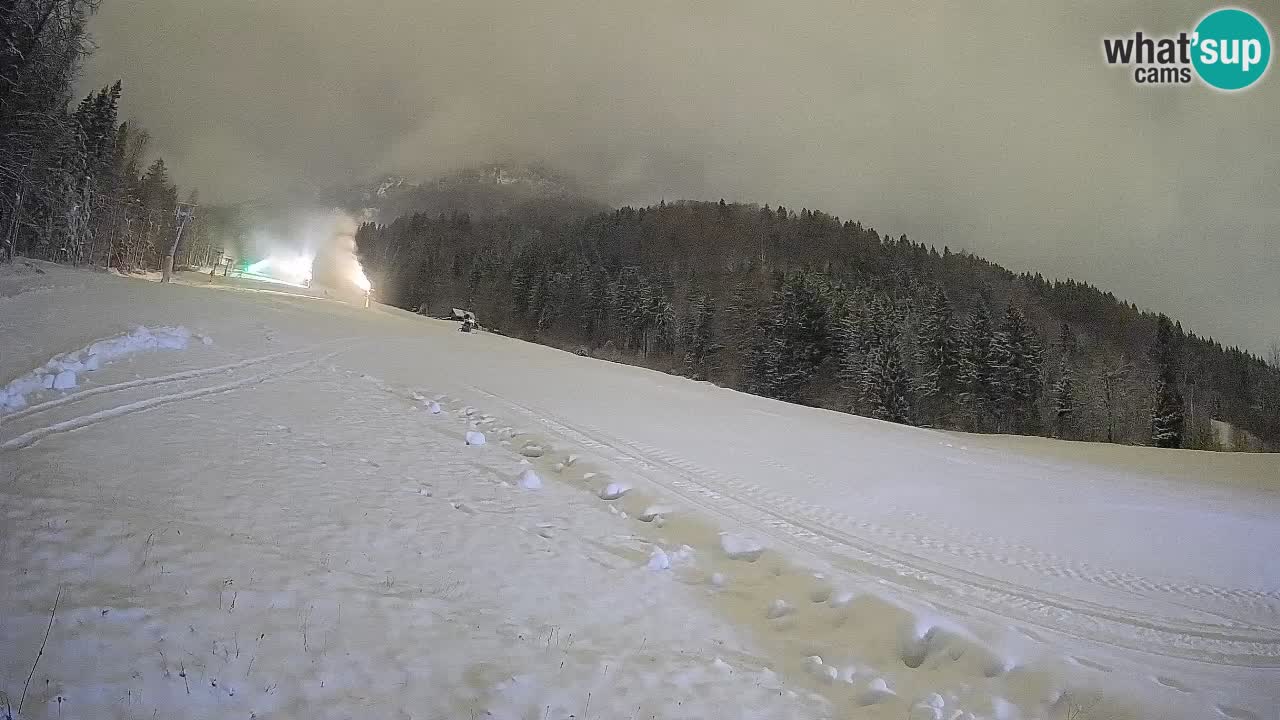 Comprensorio sciistico Kranjska Gora | Brsnina