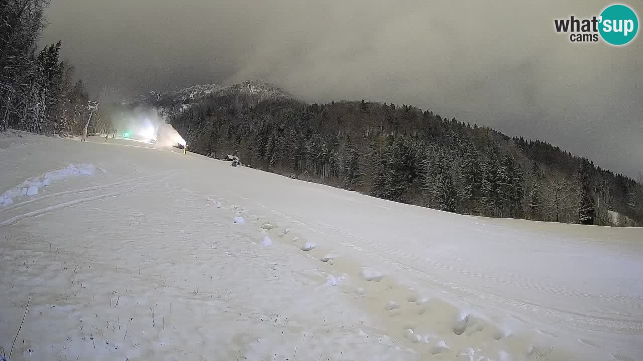 Kranjska Gora Station de ski | Brsnina