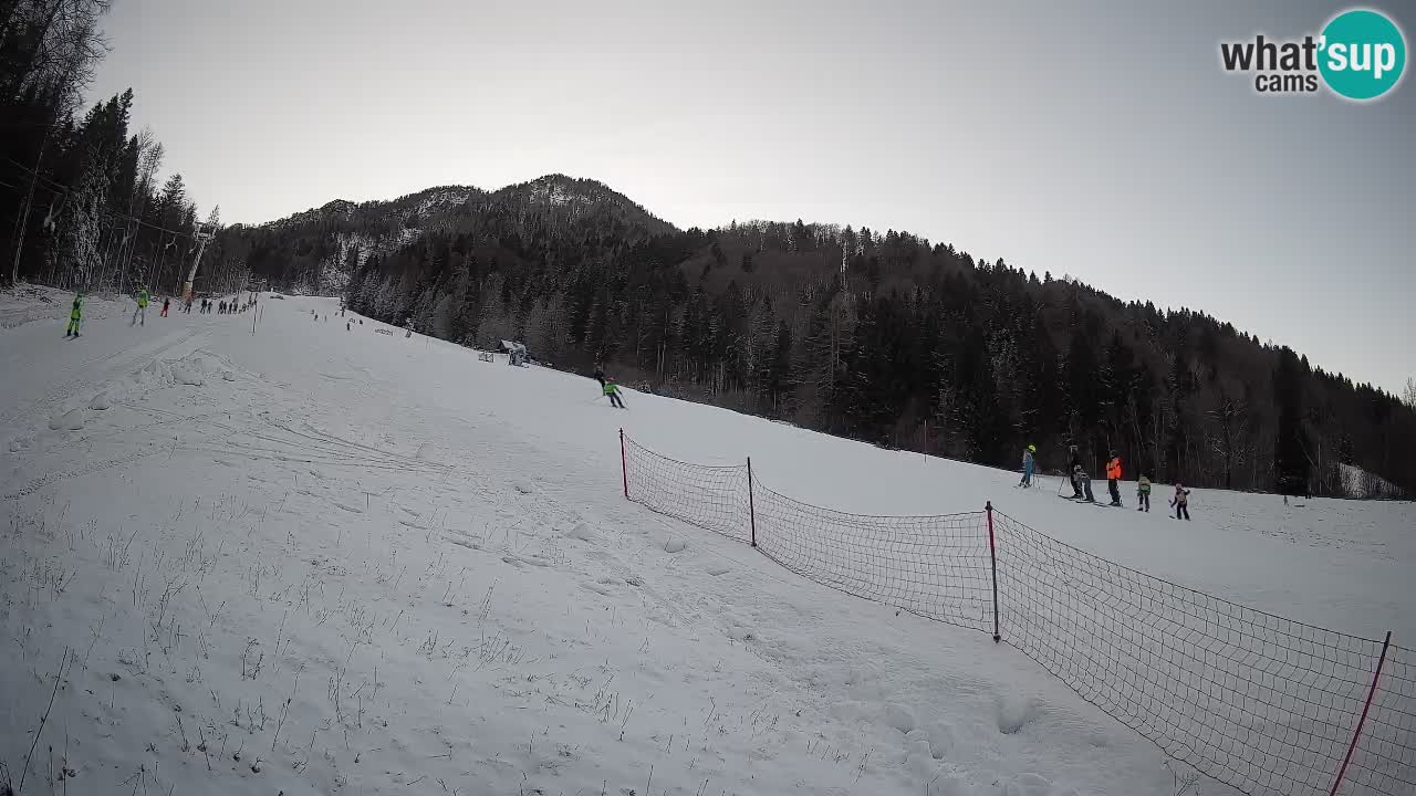 Ski Kranjska Gora | Brsnina