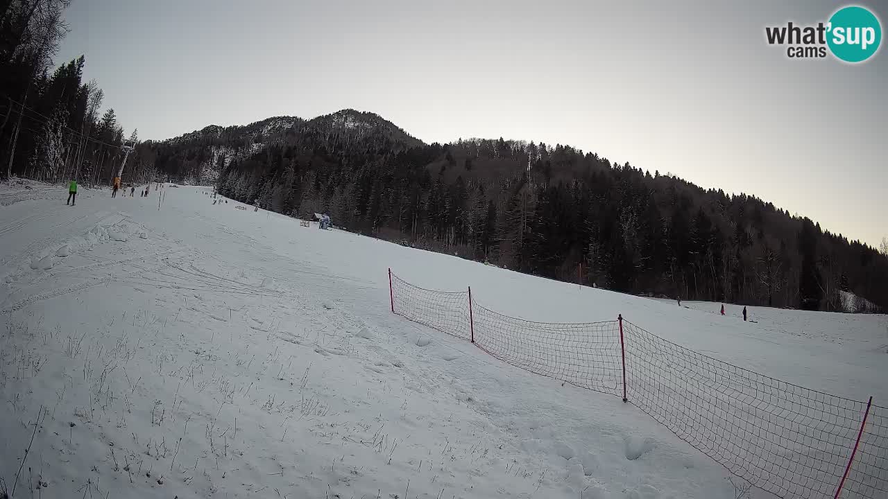 Ski Kranjska Gora | Brsnina