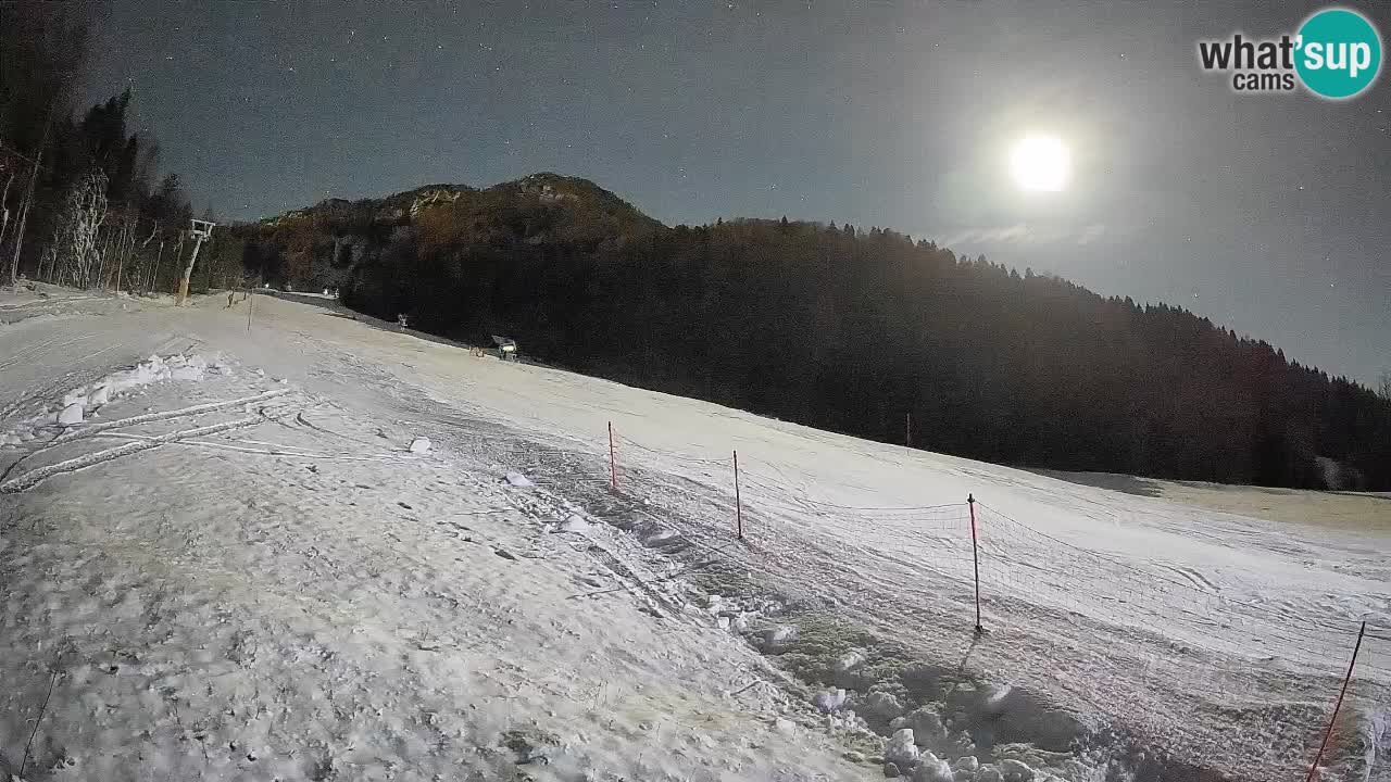 RTC Kranjska Gora | Brsnina