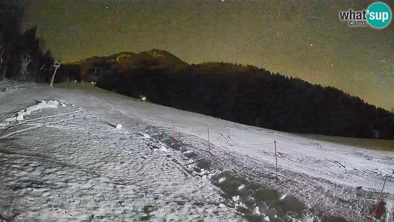 RTC Kranjska Gora | Brsnina