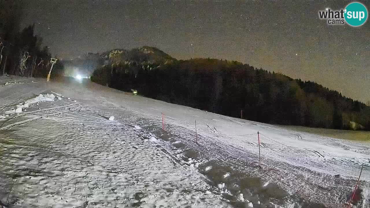 RTC Kranjska Gora | Brsnina