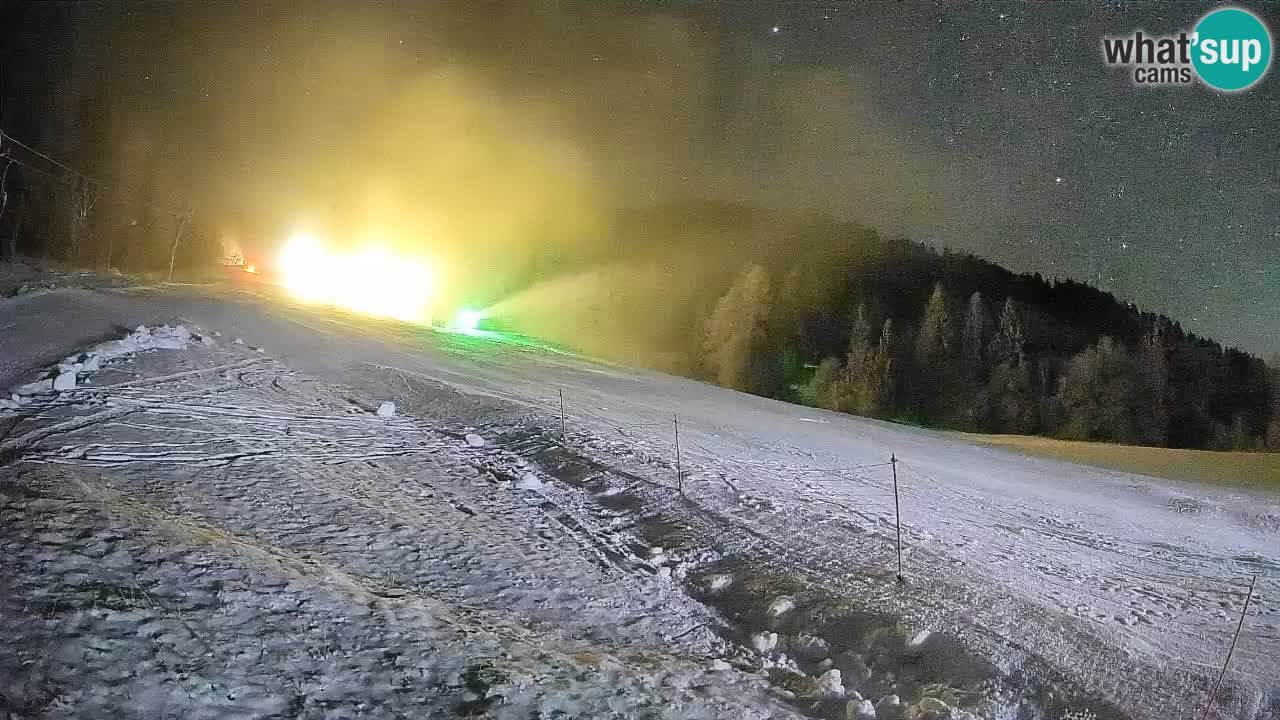 RTC Kranjska Gora | Brsnina