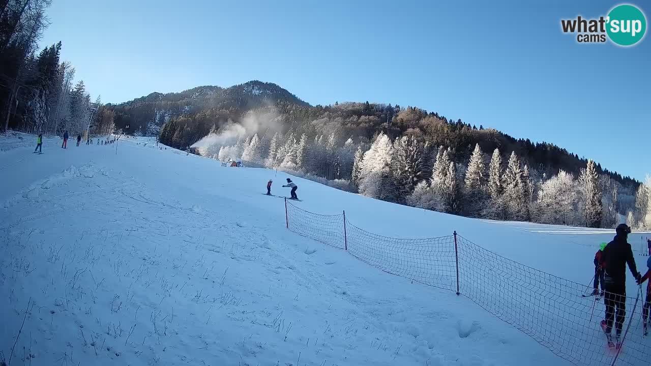 RTC Skigebiet Kranjska Gora | Brsnina