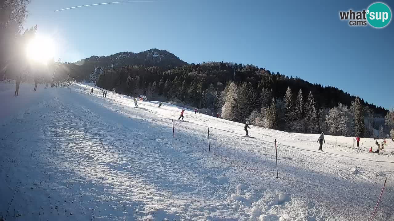 RTC Skigebiet Kranjska Gora | Brsnina