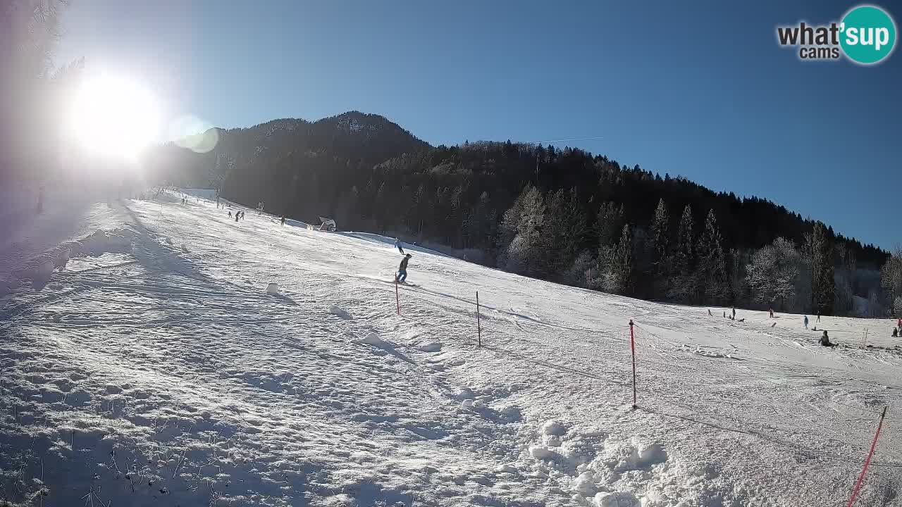 RTC Skigebiet Kranjska Gora | Brsnina