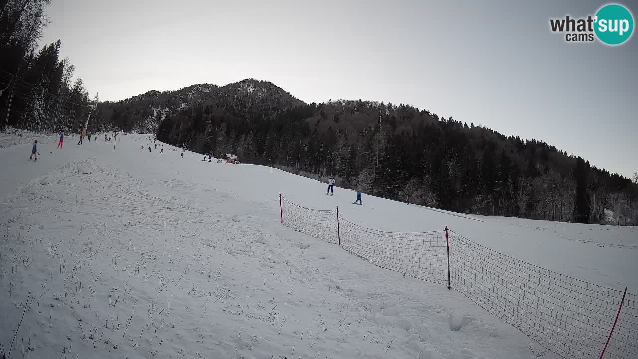 RTC Skigebiet Kranjska Gora | Brsnina