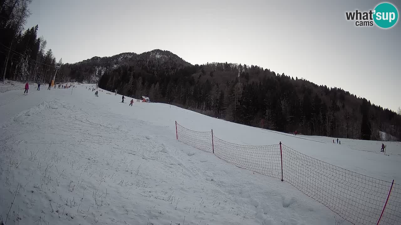 RTC Skigebiet Kranjska Gora | Brsnina