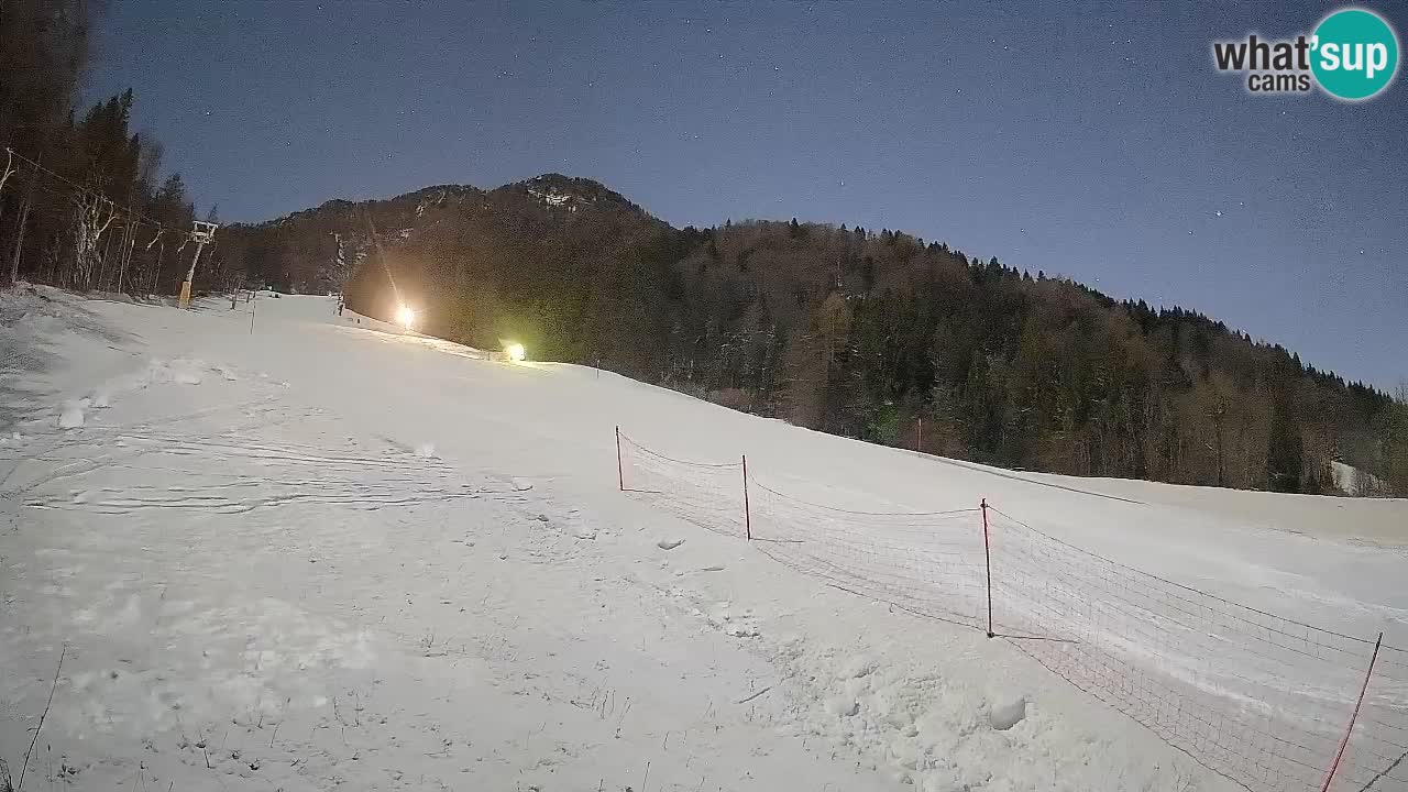 Ski Kranjska Gora | Brsnina