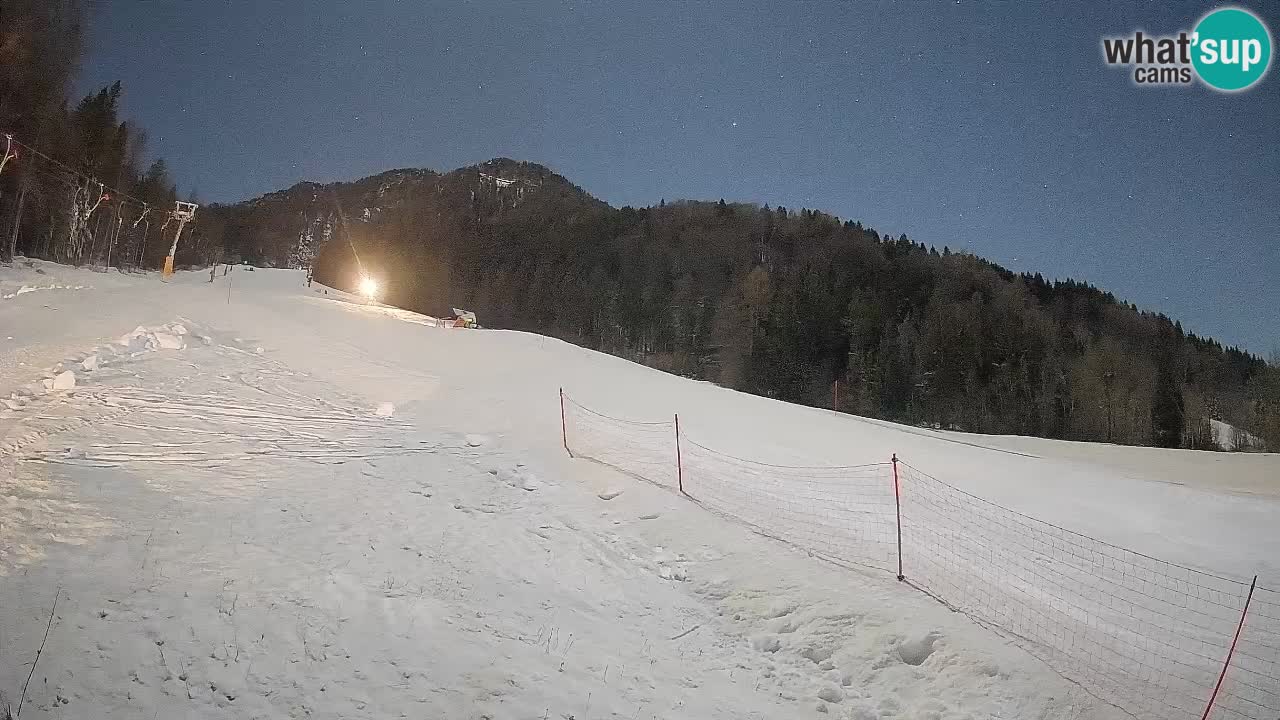 Kranjska Gora Station de ski | Brsnina