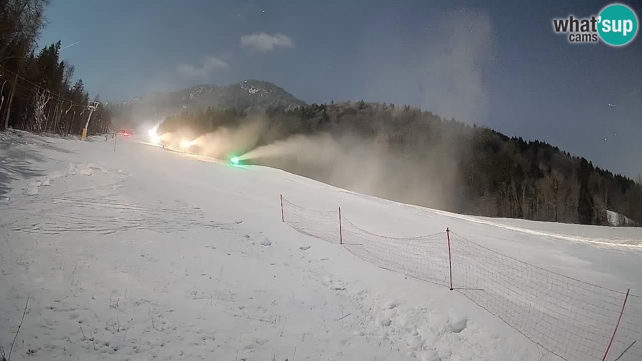 Comprensorio sciistico Kranjska Gora | Brsnina