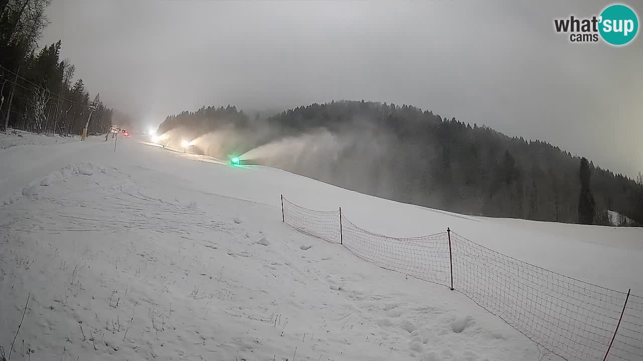 Comprensorio sciistico Kranjska Gora | Brsnina