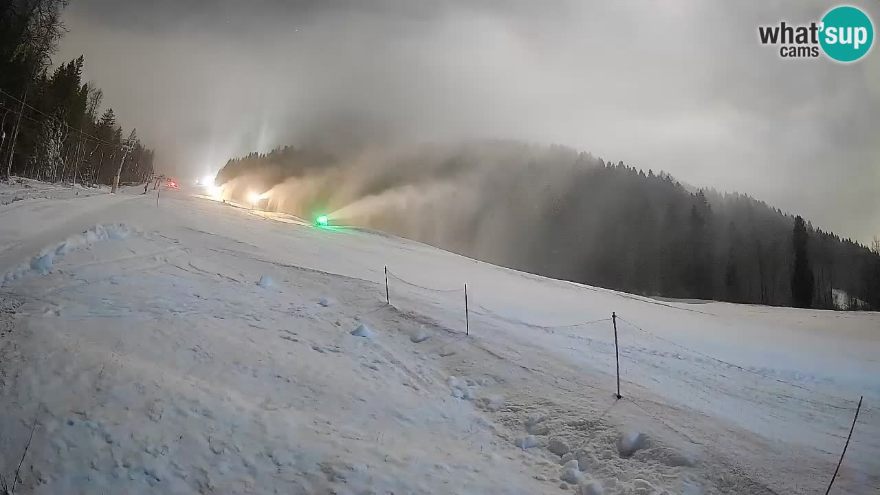 Comprensorio sciistico Kranjska Gora | Brsnina