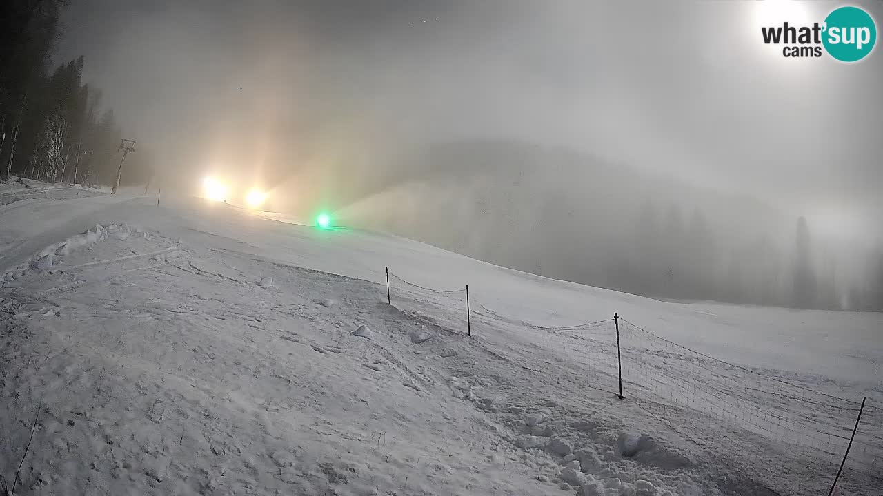 Ski Kranjska Gora | Brsnina