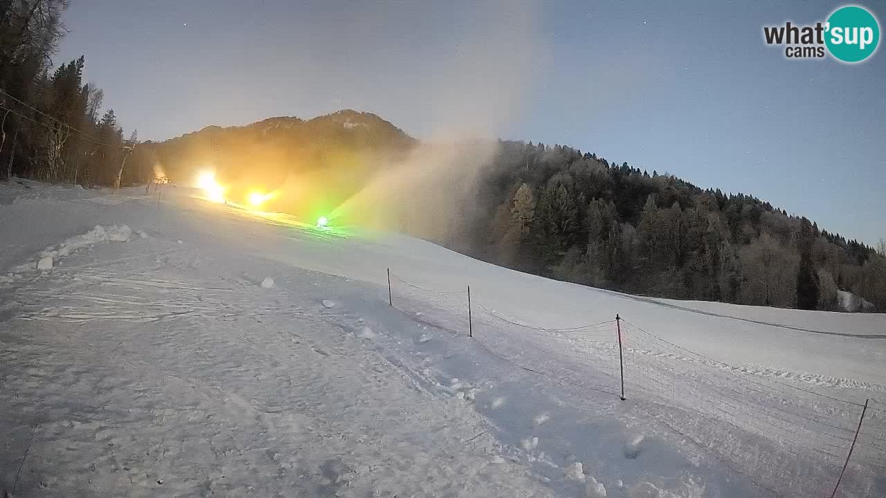 RTC Kranjska Gora | Brsnina