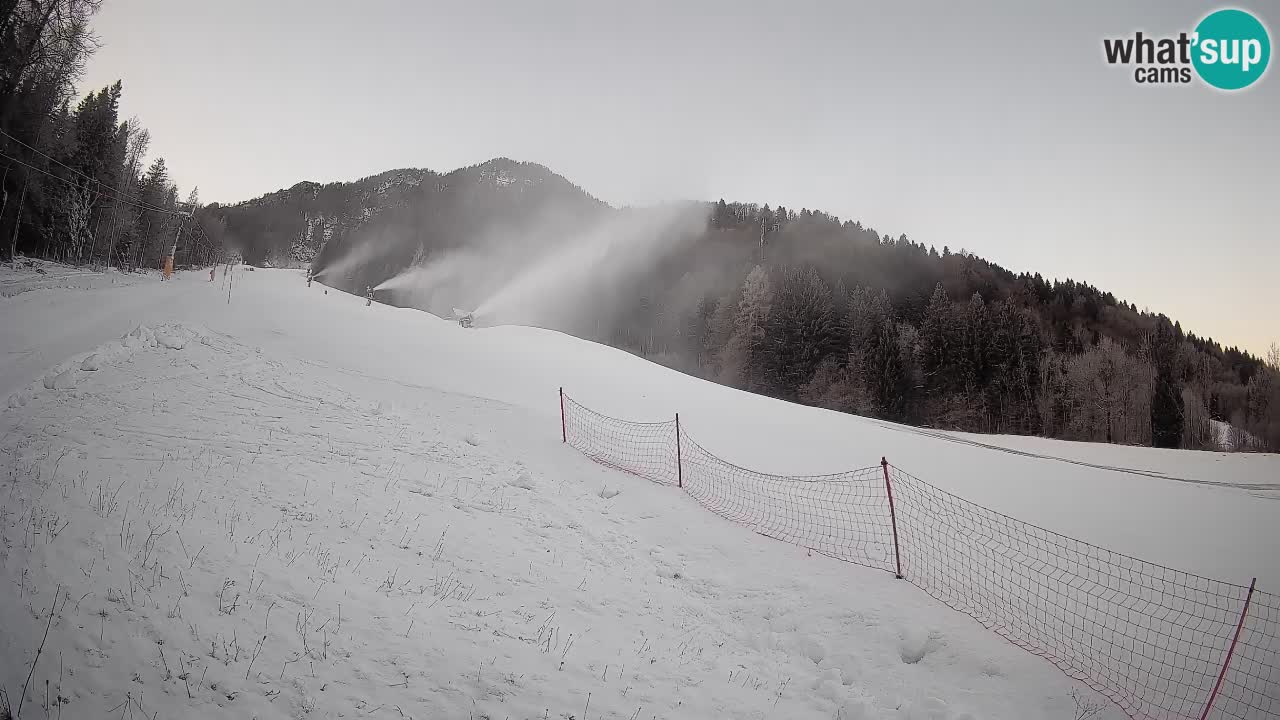 Ski Kranjska Gora | Brsnina