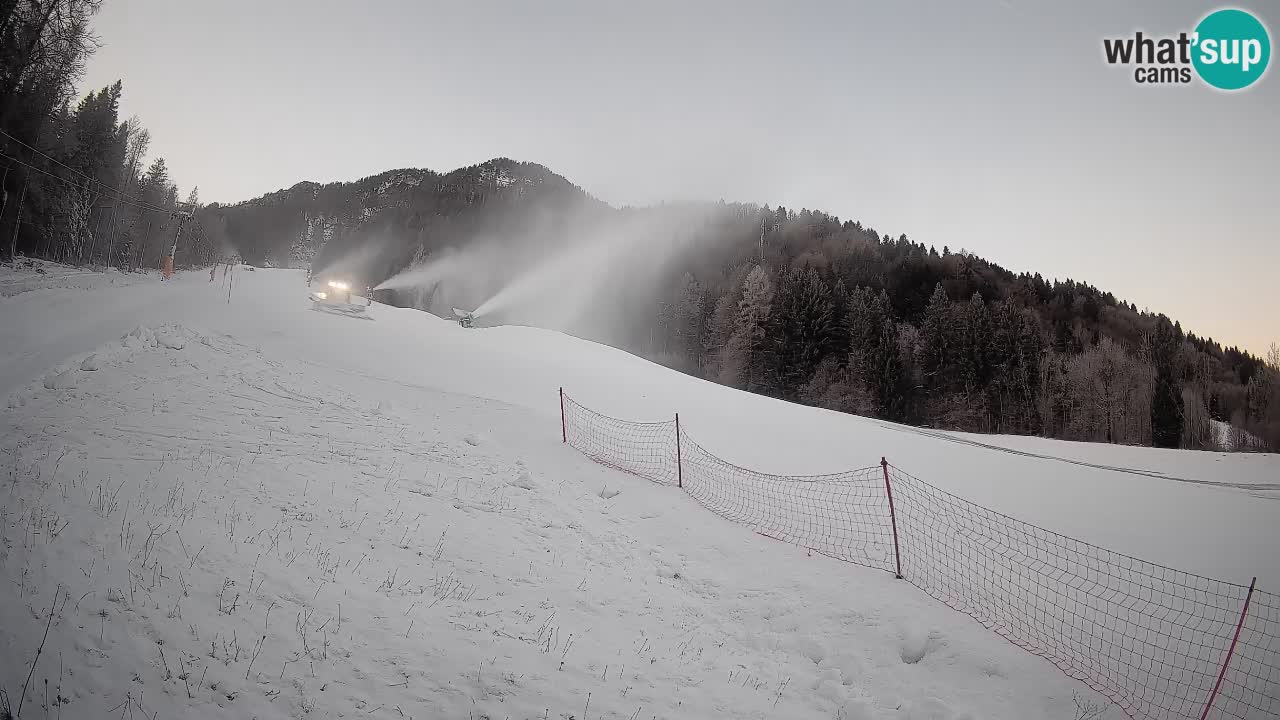 Ski Kranjska Gora | Brsnina