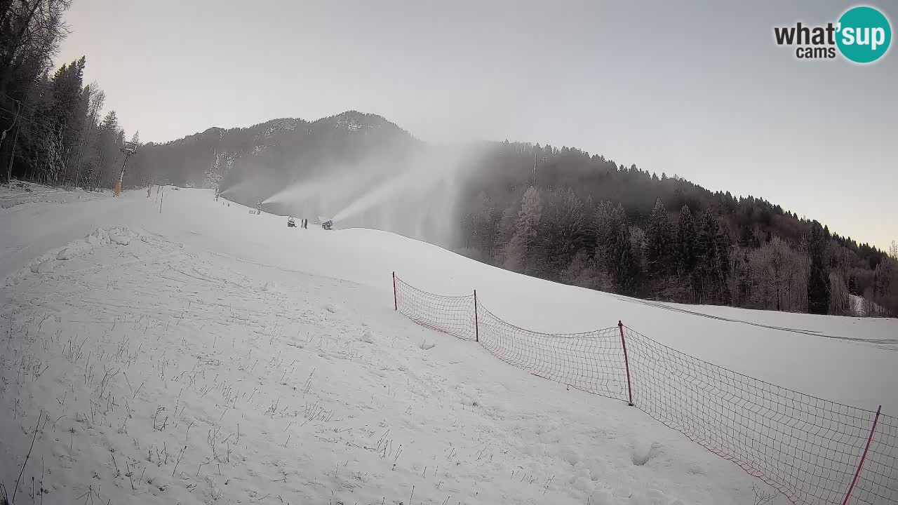 RTC Kranjska Gora | Brsnina