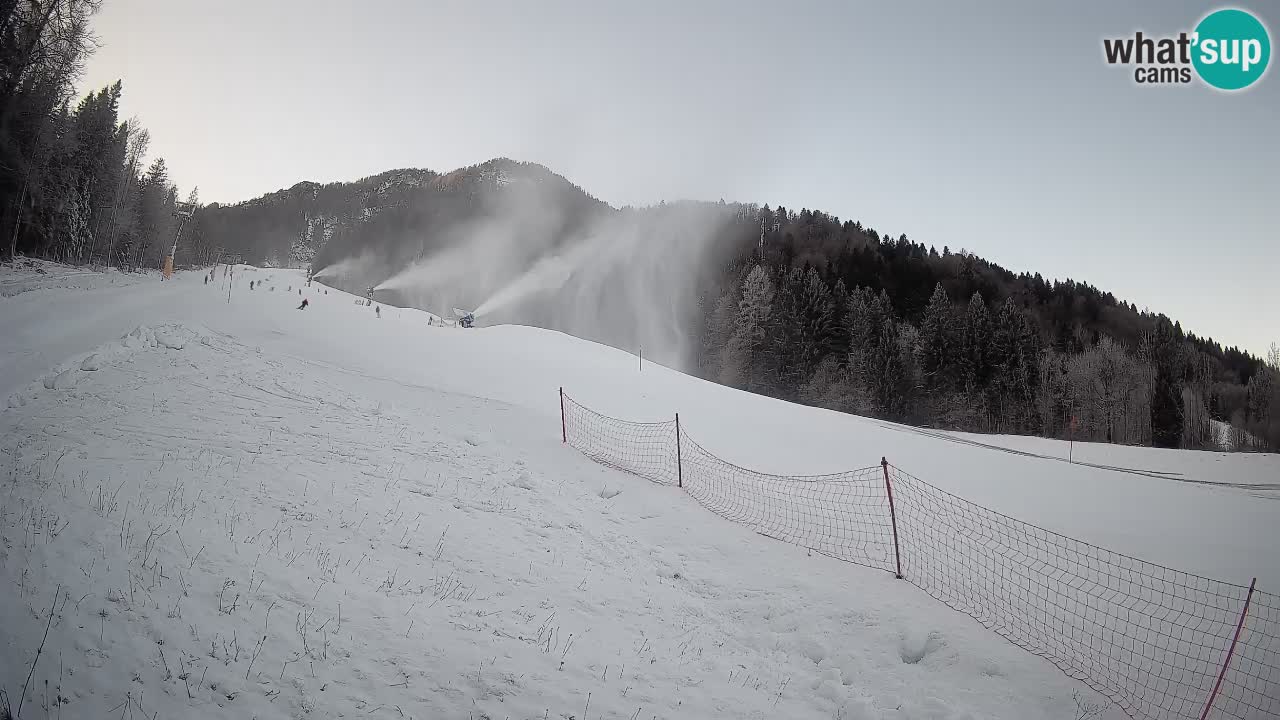 Ski Kranjska Gora | Brsnina