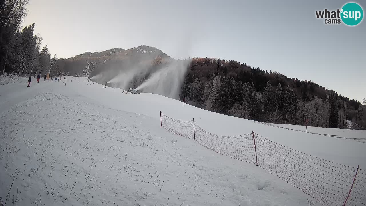 Esquí Kranjska Gora | Brsnina