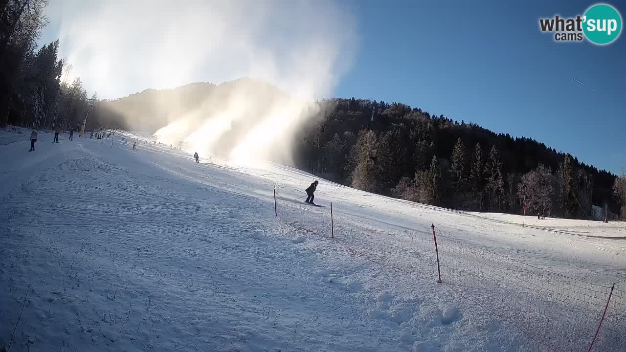 Esquí Kranjska Gora | Brsnina