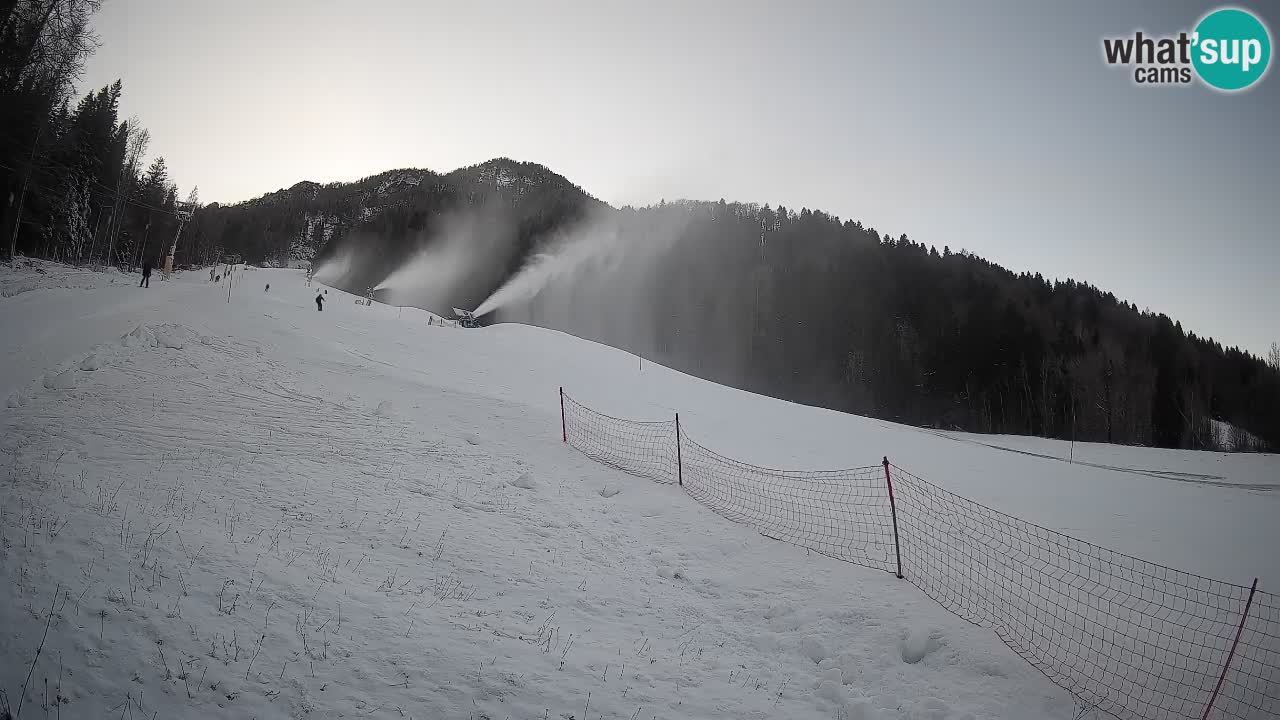 Esquí Kranjska Gora | Brsnina